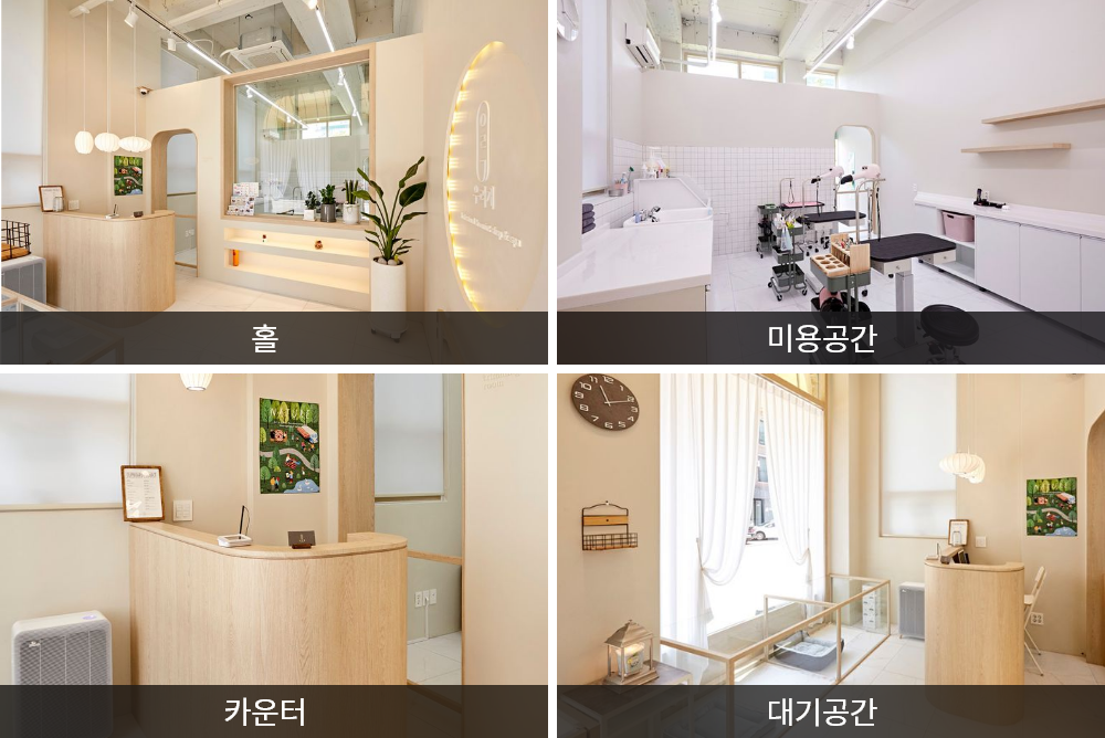 애견미용 공간구성